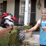 SPCA "Truth Behind The Cute"